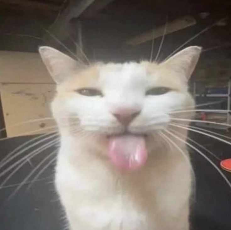 Random image